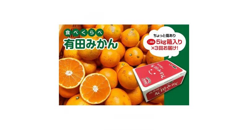 【ふるさと納税】定期便 ちょっと 傷あり 5kg ×3 回 コース 有田みかん 食べくらべ 3種 全3回 南泰園