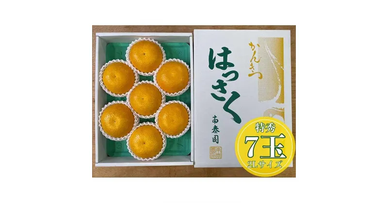 【ふるさと納税】化粧箱 手詰め 有田 はっさく 特秀 大玉 2L サイズ × 7玉入 南泰園