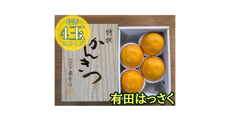 【ふるさと納税】化粧箱 小箱 手詰め 有田 はっさく 特秀 大玉 2L サイズ × 4玉入 南泰園