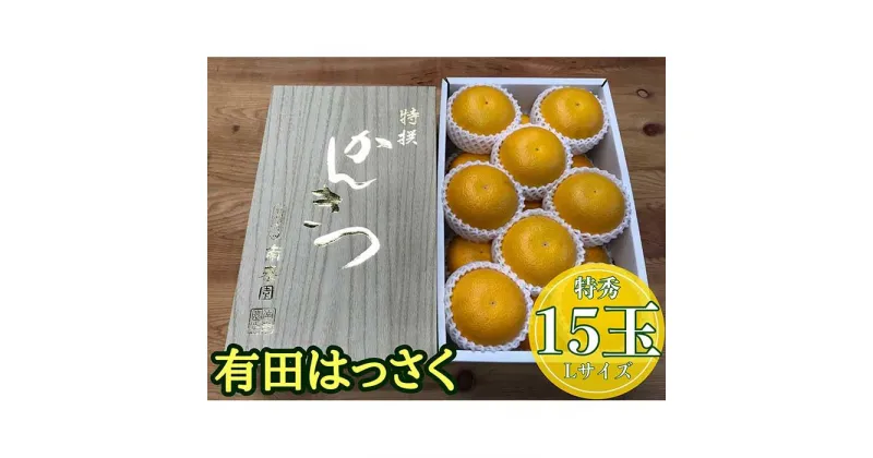 【ふるさと納税】化粧箱 手詰め 有田 はっさく 特秀 L サイズ × 15玉入 2段詰 南泰園