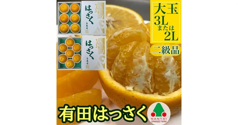 【ふるさと納税】ちょっと 傷あり 手詰め 有田 はっさく 大玉 3L × 6玉 または 2L × 7玉 南泰園