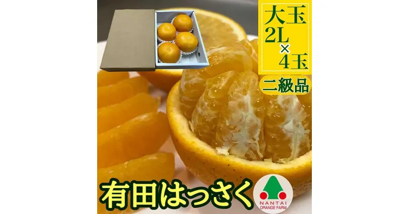 【ふるさと納税】ちょっと 傷あり 小箱 手詰め 有田 はっさく 大玉 2L サイズ × 4玉入 南泰園