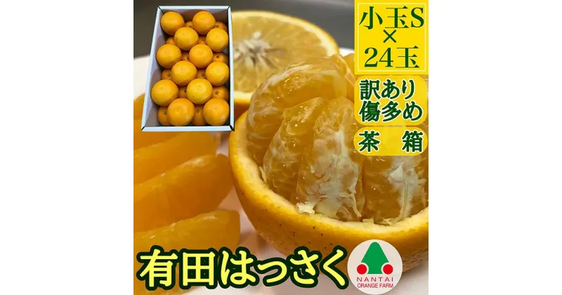 【ふるさと納税】訳あり 傷多め 手詰め 有田 はっさく 小玉 S サイズ × 24玉入 南泰園