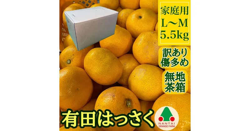 【ふるさと納税】訳あり 傷多め 有田 はっさく L または M サイズ 5.5kg 南泰園