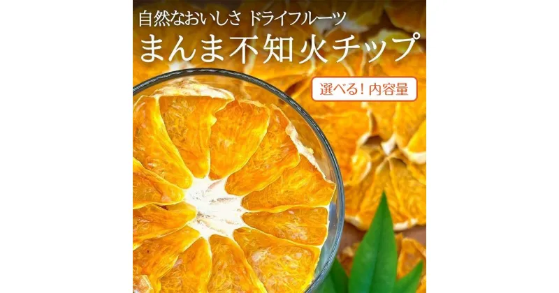 【ふるさと納税】ドライフルーツ しらぬいチップ 　和歌山県産 果物使用 自社製造 【みかんの会】 | 和歌山 おやつ 果物 みかん 不知火 しらぬい チップ 食べきり 取り寄せ 人気