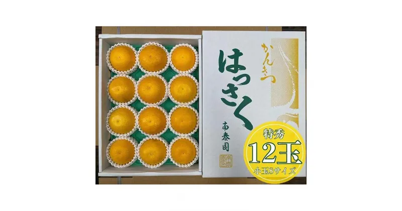 【ふるさと納税】化粧箱 手詰め 有田 はっさく 特秀 小玉 S サイズ × 12玉入 南泰園