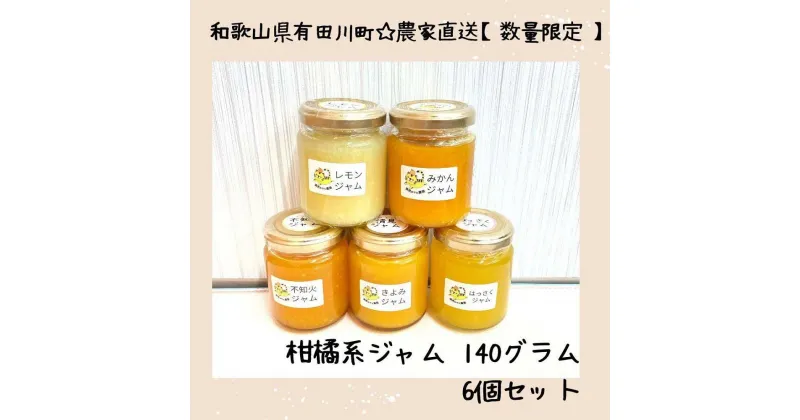 【ふるさと納税】数量限定！店主にお任せ　無添加 柑橘ジャム140g×6個 | 食品 加工食品 人気 おすすめ 送料無料