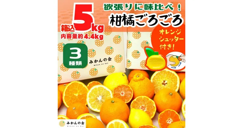 【ふるさと納税】旬の柑橘食べ比べ 柑橘ごろごろ 3種 箱込 5kg(内容量約 4.4kg) 秀品 優品 混合 和歌山県産 産地直送 【おまけ付き】【みかんの会】 | 和歌山県 みかん 有田川町 柑橘 セット 果物 フルーツ ふるさと納税 ご当地 名産 特産 返礼品 有田