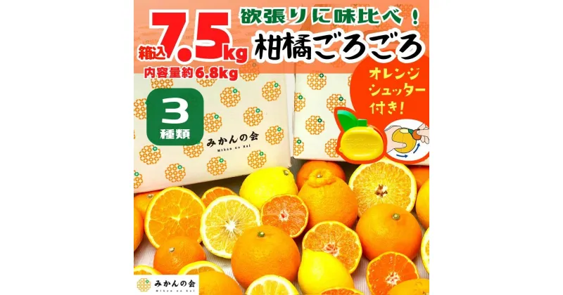 【ふるさと納税】旬の柑橘食べ比べ 柑橘ごろごろ 3種 箱込 7.5kg(内容量約 6.8kg) 秀品 優品 混合 和歌山県産 産地直送 【おまけ付き】【みかんの会】 | 和歌山県 みかん 有田川町 柑橘 セット 果物 フルーツ ふるさと納税 ご当地 名産 特産 返礼品 有田