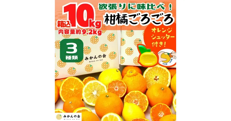 【ふるさと納税】旬の柑橘食べ比べ 柑橘ごろごろ 3種 箱込 10kg(内容量約 9.2kg) 秀品 優品 混合 和歌山県産 産地直送 【おまけ付き】【みかんの会】 | フルーツ 果物 くだもの 食品 人気 おすすめ 送料無料