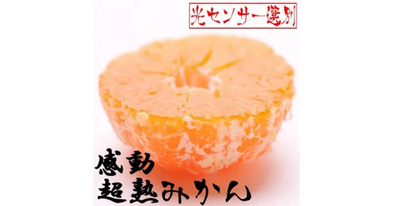 【ふるさと納税】家庭用　超熟有田みかん2.5kg+75g（傷み補償分）【わけあり・訳あり】【光センサー選果】＜2024年11月より発送＞ | フルーツ 果物 くだもの 食品 人気 おすすめ 送料無料