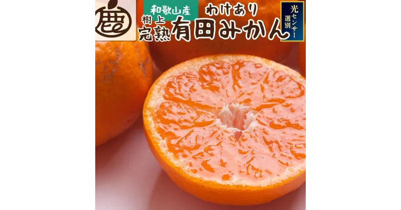 【ふるさと納税】家庭用　完熟有田みかん5kg+150g（傷み補償分）【わけあり・訳あり】【光センサー選果】＜11月より発送＞ | フルーツ 果物 くだもの 食品 人気 おすすめ 送料無料