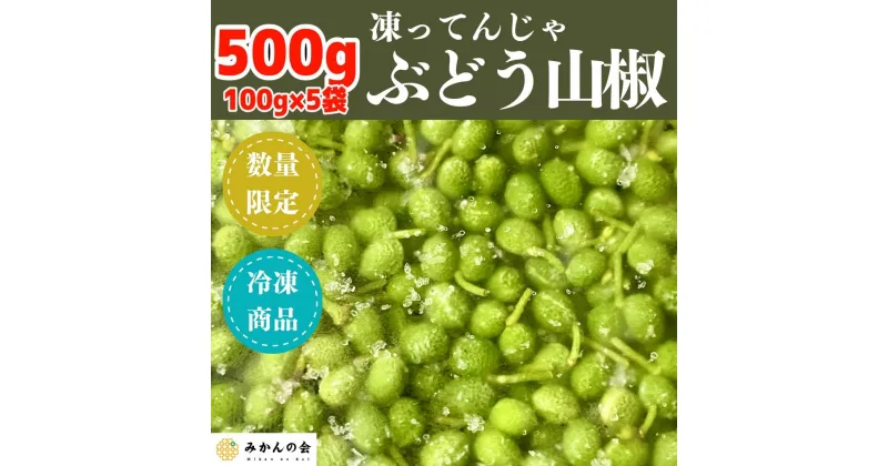 【ふるさと納税】【6月下旬出荷予定】冷凍山椒 凍ってんじゃ ぶどう山椒 500g ( 100g × 5袋 ) 和歌山県産 【みかんの会】 | 野菜 やさい 食品 人気 おすすめ 送料無料