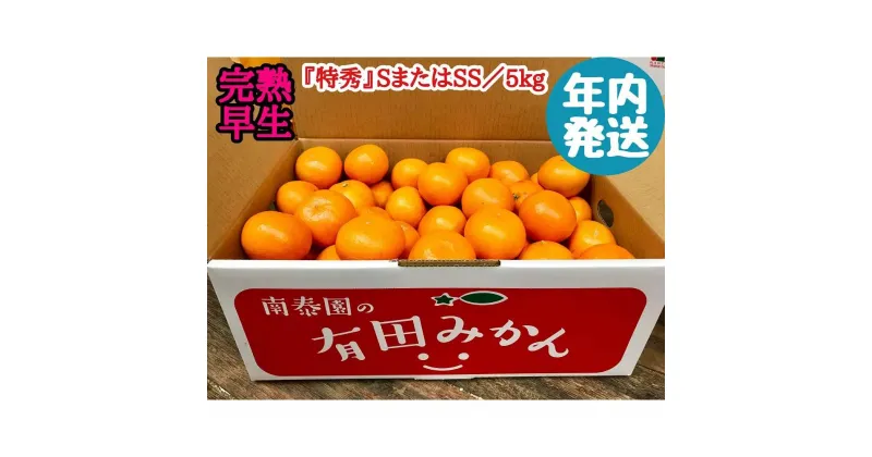 【ふるさと納税】年内発送 完熟早生 有田みかん 特秀 S または SS サイズ 5kg 和歌山 南泰園 | フルーツ 果物 くだもの 食品 人気 おすすめ 送料無料