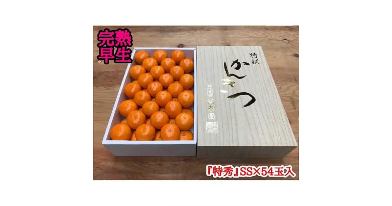 【ふるさと納税】年内発送 完熟早生 有田みかん 化粧箱 特秀 小玉 SS サイズ 54玉入 和歌山 南泰園 | フルーツ 果物 くだもの 食品 人気 おすすめ 送料無料