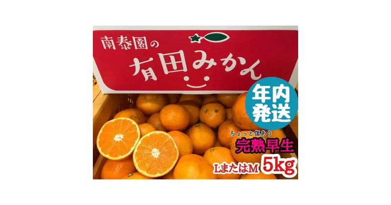 【ふるさと納税】年内発送 ちょっと 傷あり 完熟早生 有田みかん L または M 5kg 和歌山 南泰園 | フルーツ 果物 くだもの 食品 人気 おすすめ 送料無料