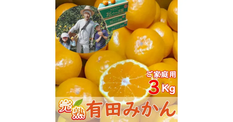 【ふるさと納税】有田みかん 3kg （S～Lサイズミックス）木成り完熟【ご家庭用】大ちゃんの畑農園 | フルーツ 果物 くだもの 食品 人気 おすすめ 送料無料