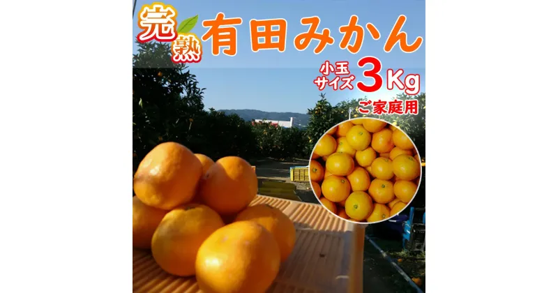 【ふるさと納税】有田みかん 3kg（2S～Sサイズ小玉ちゃん）木成り完熟【ご家庭用】大ちゃんの畑農園 | フルーツ 果物 くだもの 食品 人気 おすすめ 送料無料