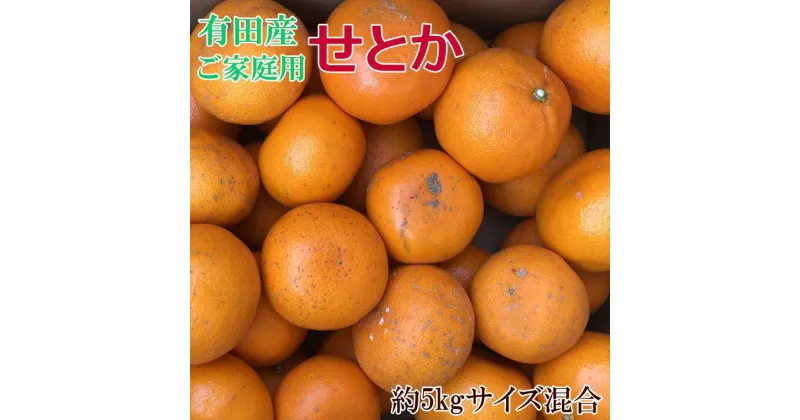 【ふるさと納税】(訳あり・ご家庭用)一度は食べていただきたい「有田産のせとか」約5kg★2025年2月中旬頃より順次発送 | フルーツ 果物 くだもの 食品 人気 おすすめ 送料無料