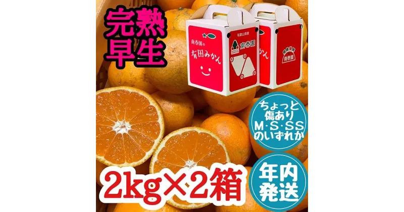 【ふるさと納税】年内発送 ちょっと傷あり 完熟早生 有田みかん M～SS サイズ 2kg × 2箱 手さげ箱 和歌山 南泰園