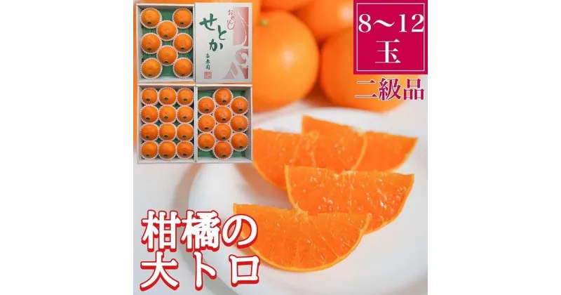 【ふるさと納税】ちょっと 傷あり 柑橘の大トロ ハウス せとか 8 ～ 12玉入 化粧箱 南泰園