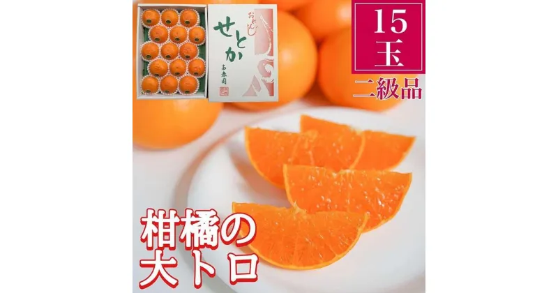 【ふるさと納税】ちょっと 傷あり 柑橘の大トロ ハウス せとか 15玉入 化粧箱 南泰園