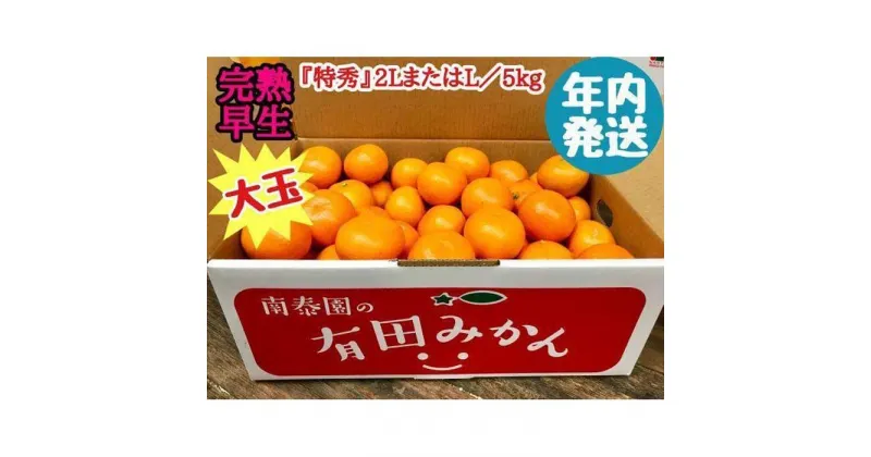 【ふるさと納税】年内発送 完熟早生 有田みかん 大玉 特秀 2L または L サイズ 5kg 和歌山 南泰園