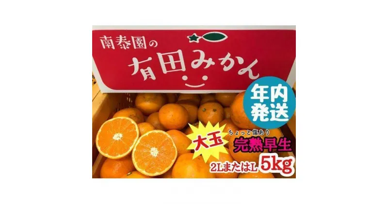 【ふるさと納税】年内発送 ちょっと 傷あり 完熟早生 有田みかん 大玉 2L または L サイズ 5kg 和歌山 南泰園