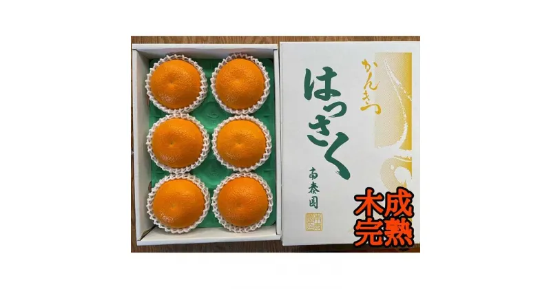 【ふるさと納税】木成完熟 紅はっさく 特秀 大玉 3L × 6玉入 化粧箱 南泰園【2025年4月上旬～発送】