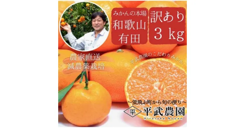 【ふるさと納税】蛍飛ぶ町から旬の便り　有田みかん　訳あり3kg　平武農園　農家直送 | フルーツ 果物 くだもの 食品 人気 おすすめ 送料無料