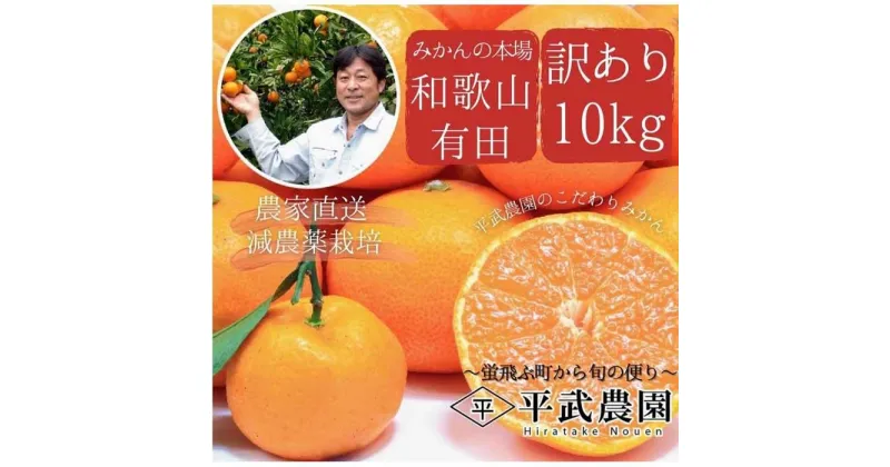 【ふるさと納税】有田みかん 訳あり品10kg 平武農園 農家直送 | フルーツ 果物 くだもの 食品 人気 おすすめ 送料無料