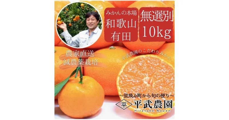 【ふるさと納税】有田みかん 家庭用10kg 平武農園 農家直送 | フルーツ 果物 くだもの 食品 人気 おすすめ 送料無料