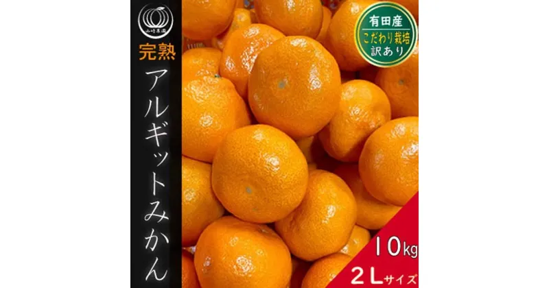 【ふるさと納税】完熟 アルギット みかん 10kg 2L サイズ 訳あり | 年内発送 可 先行予約 みかん 有田みかん 甘い おいしい ジューシー 皮 薄い 完熟 期間限定 フルーツ 果物 人気 おすすめ 高級 こだわり ギフト 旬 お取り寄せ 送料無料 和歌山