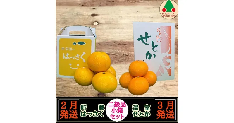 【ふるさと納税】定期便 貯蔵 はっさく ＆ ハウス せとか 全2回 南泰園 二級品 小箱 セット みかん | フルーツ 果物 くだもの 食品 人気 おすすめ 送料無料