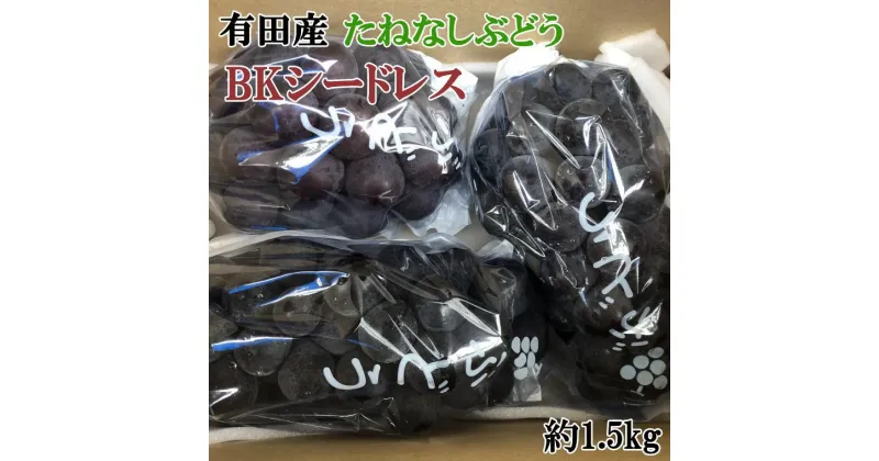 【ふるさと納税】【数量限定】希少なぶどう「BKシードレス」約1.5kg★2025年8月中旬頃より順次発送 | 先行予約 葡萄 ぶどう ブドウ マスカット 農家直送 フルーツ 果物 くだもの 人気 送料無料 期間限定 数量限定