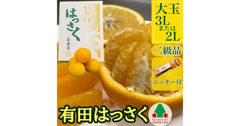 【ふるさと納税】有田 はっさく 大玉 3L × 6玉 または 2L × 7玉 ちょっと 傷あり 手詰め ムッキー 同梱 南泰園 | フルーツ 果物 くだもの 食品 人気 おすすめ 送料無料