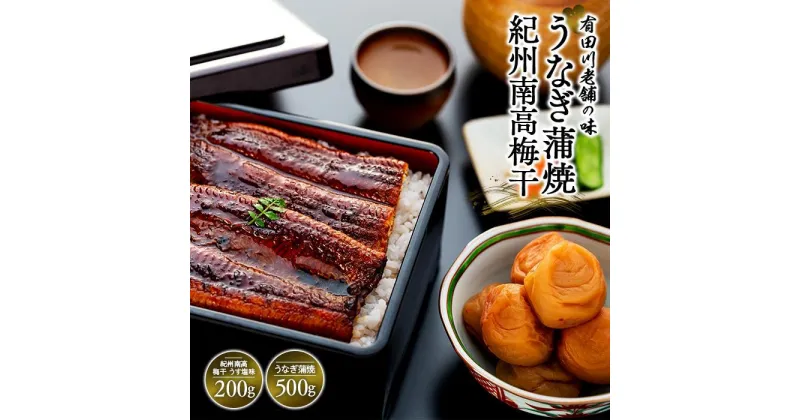 【ふるさと納税】うなぎ蒲焼 4尾 合計 500g 紀州南高梅干 200g うす塩味 塩分10％ セット | うなぎ 蒲焼 南高梅 梅干し 梅干 セット ひつまぶし どんぶり 丼 和歌山 和歌山県 有田 有田川 時短 総菜 お手軽 冷蔵 鰻 魚介類 水産 食品 人気 おすすめ 送料無料