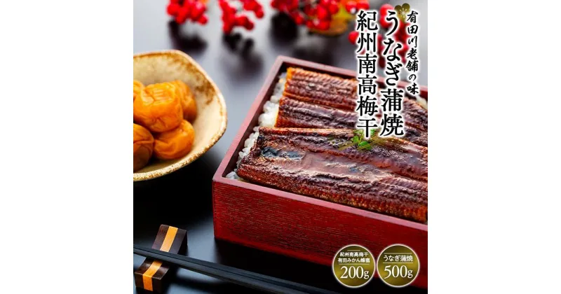 【ふるさと納税】うなぎ蒲焼 4尾 合計 500g 紀州南高梅干 200g 有田みかん蜂蜜 塩分7％ セット | うなぎ 蒲焼 南高梅 梅干し 梅干 はちみつ ハチミツ ひつまぶし 和歌山県 有田川 総菜 お手軽 鰻 魚介類 水産 食品 人気 おすすめ 送料無料