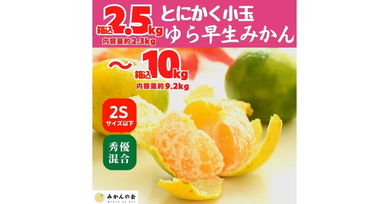 【ふるさと納税】ゆら早生 みかん 小玉ちゃん 箱込 2.5～10kg 2Sサイズ以下 秀優混合 有田みかん 和歌山県産 【みかんの会】 | 和歌山 フルーツ 果物 くだもの かんきつ 柑橘 柑橘類 みかんの会 送料込み 送料無料