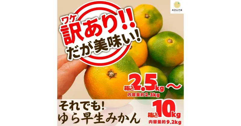 【ふるさと納税】訳あり ゆら早生 みかん 箱込 2.5～10kg サイズミックス 有田みかん 和歌山県産 【みかんの会】 | 和歌山 フルーツ 果物 くだもの かんきつ 柑橘 柑橘類 みかんの会 送料込み 送料無料