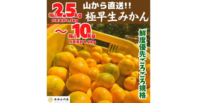 【ふるさと納税】みかん 極早生 山から直送 箱込2.5～10kg 採れたてそのままごろごろ規格 有田みかん 和歌山県産 【みかんの会】