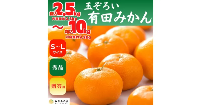 【ふるさと納税】みかん S～Mサイズ 秀品 箱込 2.5kg～10kg 有田みかん 和歌山県産 産地直送 贈答用 【みかんの会】 | フルーツ 果物 くだもの 食品 人気 おすすめ 送料無料