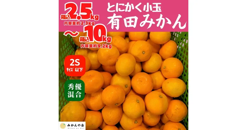 【ふるさと納税】みかん とにかく小玉 箱込 2.5kg～10kg 2Sサイズ以下 秀品 優品 混合 有田みかん 和歌山県産 産地直送 家庭用 【みかんの会】　 | フルーツ 果物 くだもの 食品 人気 おすすめ 送料無料