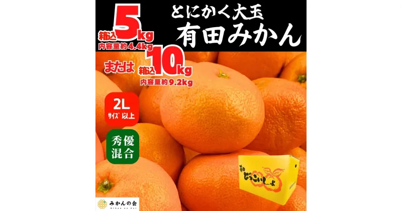 【ふるさと納税】みかん 大玉 どっこいしょ 箱込 5kg または 10kg 2Lサイズ以上 秀品 優品 混合 有田みかん 和歌山県産 産地直送 家庭用【みかんの会】 | フルーツ 果物 くだもの 食品 人気 おすすめ 送料無料