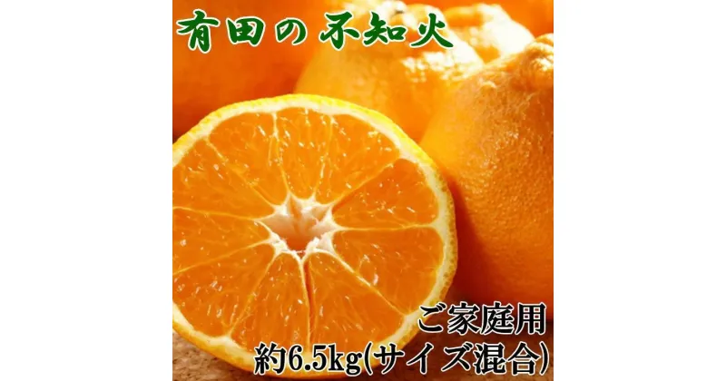 【ふるさと納税】有田の不知火 約6.5kg サイズ混合【 濃厚 ご家庭用向け 】★2025年2月上旬頃より順次発送 | みかん 蜜柑 フルーツ 果物 くだもの 食品 人気 おすすめ 送料無料