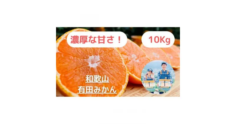 【ふるさと納税】【農家直送】濃厚な甘さの早生みかん10kg/【厳選小みかん】みかんのみっちゃん農園