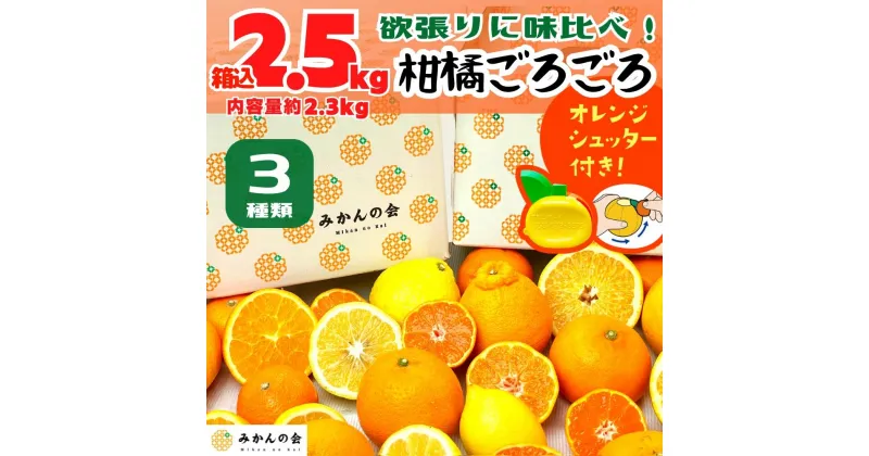 【ふるさと納税】旬の柑橘食べ比べ 柑橘ごろごろ 3種 箱込 2.5kg(内容量 2.3kg) 秀品 優品 混合 和歌山県産 産地直送 【おまけ付き】【みかんの会】 | フルーツ 果物 くだもの 食品 人気 おすすめ 送料無料