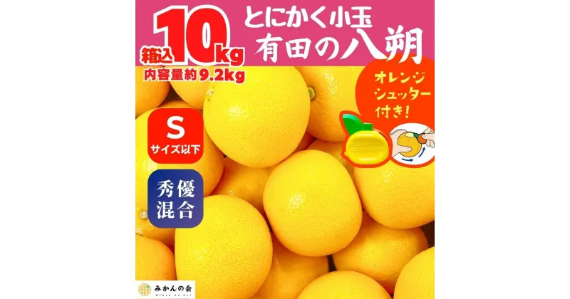 【ふるさと納税】八朔 (はっさく) とにかく 小玉 箱込 10kg(内容量約 9.2kg) 秀品 優品 混合 Sサイズ以下 和歌山県産 産地直送【おまけ付き】【みかんの会】 | みかん 八朔 和歌山 大玉 秀 優 産地直送 和歌山県 有田川町 ふるさと納税 返礼品 故郷納税