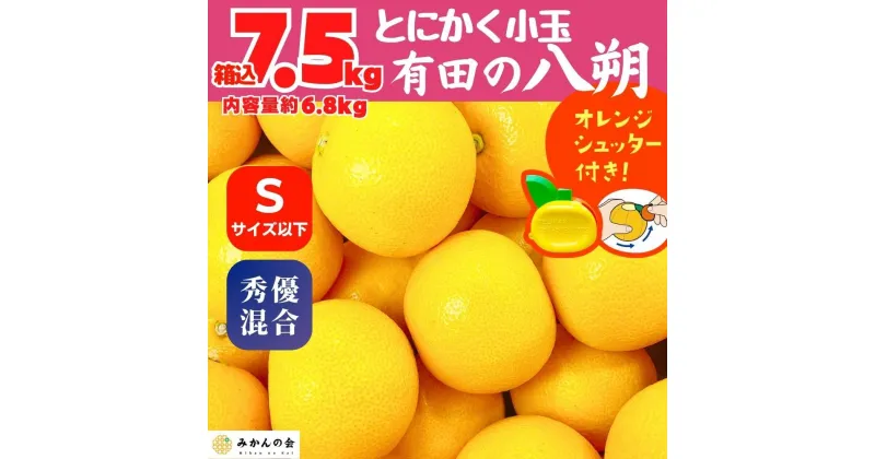 【ふるさと納税】八朔 (はっさく) とにかく 小玉 箱込 7.5kg(内容量約 6.8kg) 秀品 優品 混合 Sサイズ以下 和歌山県産 産地直送【おまけ付き】【みかんの会】 | みかん 八朔 和歌山 大玉 秀 優 産地直送 和歌山県 有田川町 ふるさと納税 返礼品 故郷納税