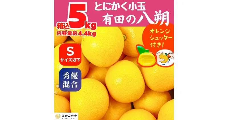 【ふるさと納税】八朔 (はっさく) とにかく 小玉 箱込 5kg(内容量約 4.4kg) 秀品 優品 混合 Sサイズ以下 和歌山県産 産地直送【おまけ付き】【みかんの会】 | みかん 八朔 和歌山 大玉 秀 優 産地直送 和歌山県 有田川町 ふるさと納税 返礼品 故郷納税